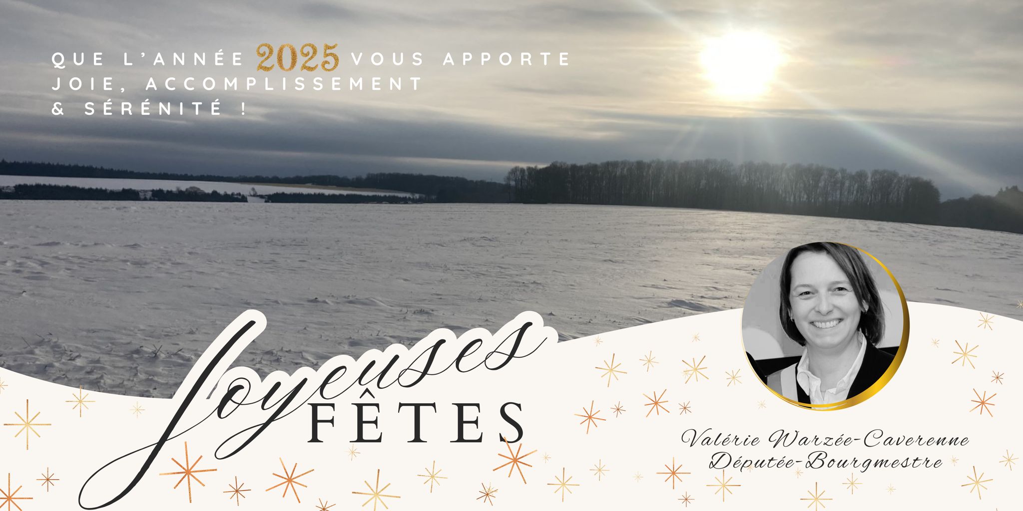 Joyeuses fêtes  ! 